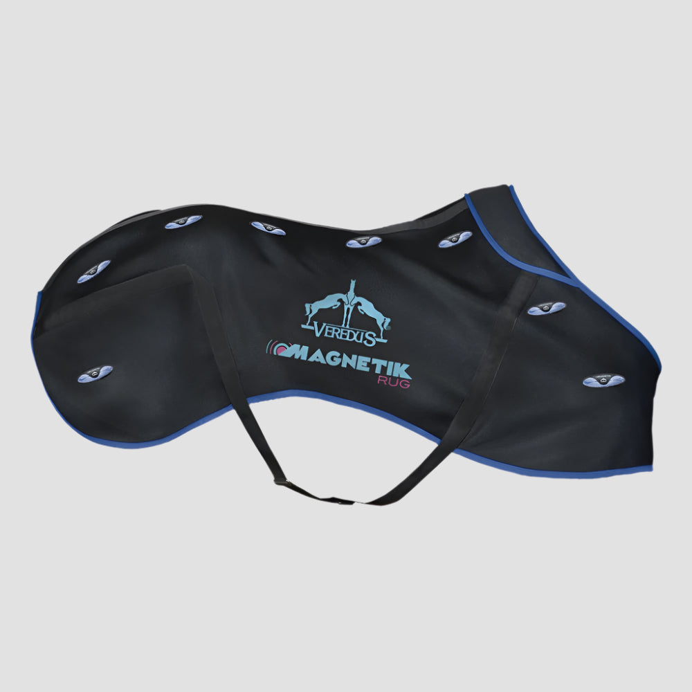 product shot image of the Magnetik Rug