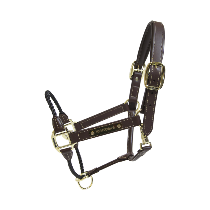 product shot image of the Leather Rope Headcollar - Brown