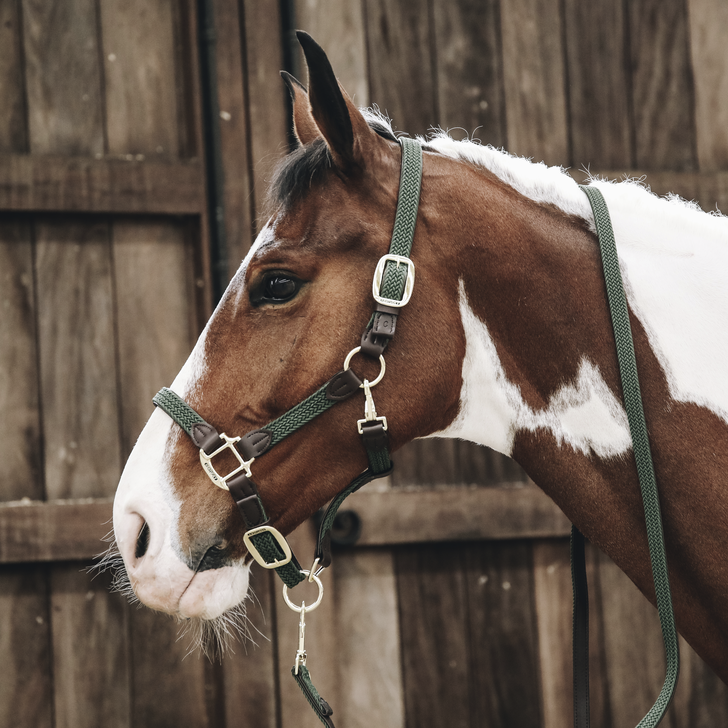 product shot image of the Plaited Nylon Headcollar - Dark Green
