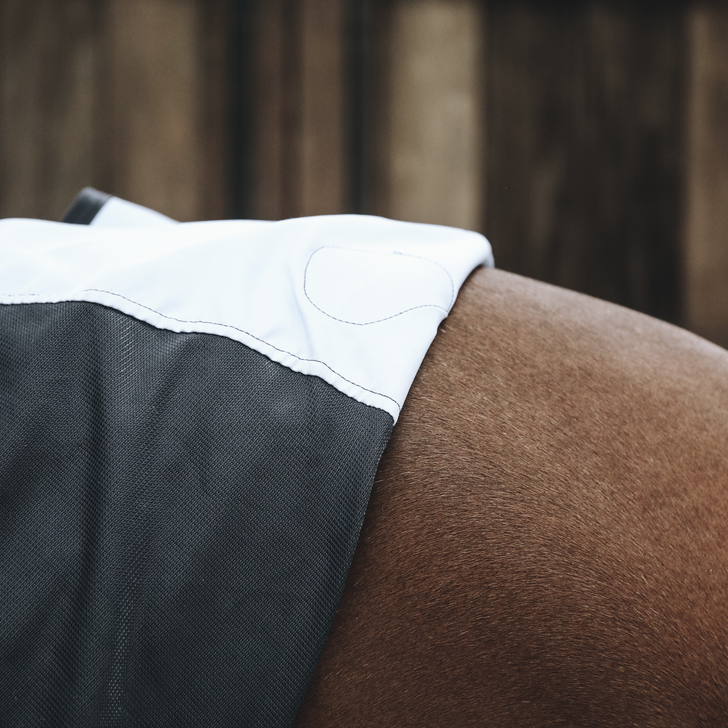 product shot image of the Magnetic Rugs Recuptex