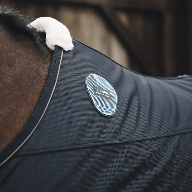 product shot image of the Magnetic Rugs Recuptex