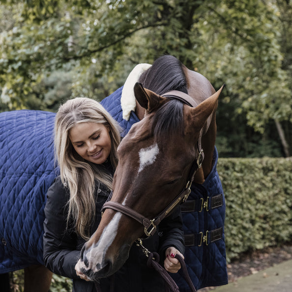 product shot image of the Show Rug - Navy