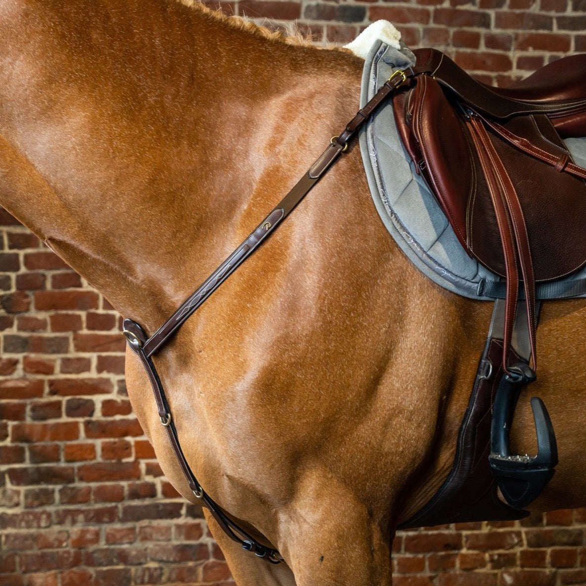 product shot image of the dy'on d collection breastplate