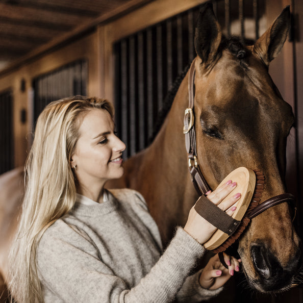 product shot image of the Grooming Deluxe - Overall Brush Soft