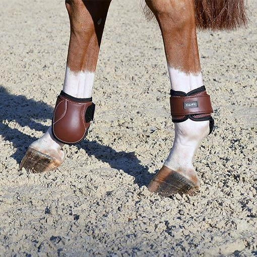 product shot image of the Young Horse Fetlock Boot