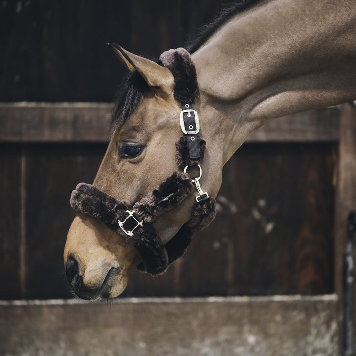 product shot image of the Sheepskin Headcollar - Brown