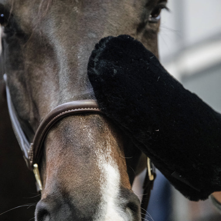 product shot image of the Grooming Deluxe Sheepskin Grooming Glove - Black