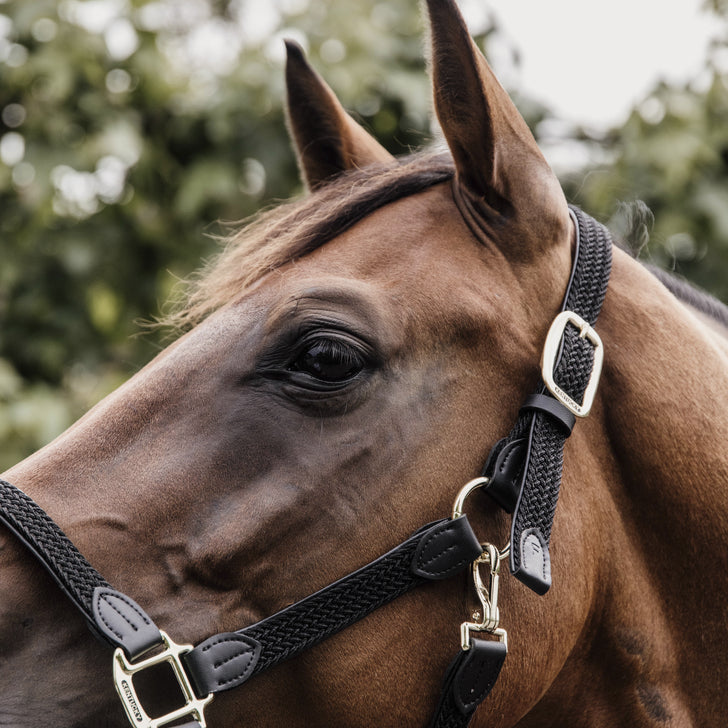 product shot image of the Plaited Nylon Headcollar - Black