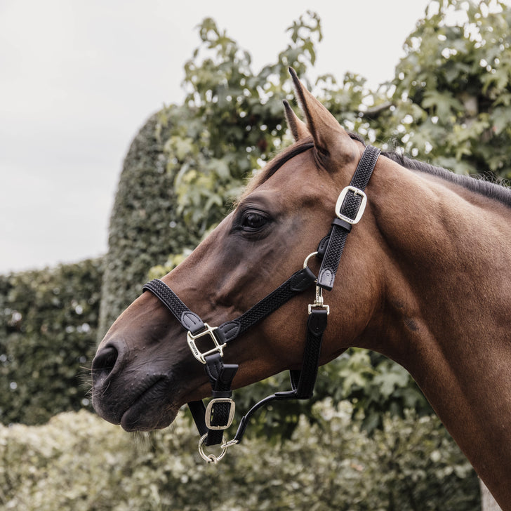 product shot image of the Plaited Nylon Headcollar - Black