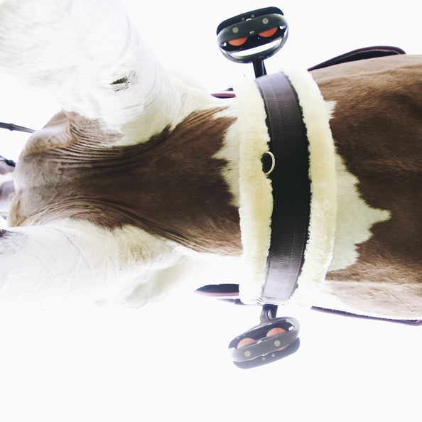 product shot image of the Sheepskin Girth - Brown