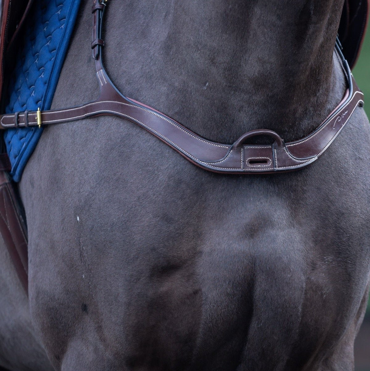 product shot image of the D Collection Anatomical Breastplate