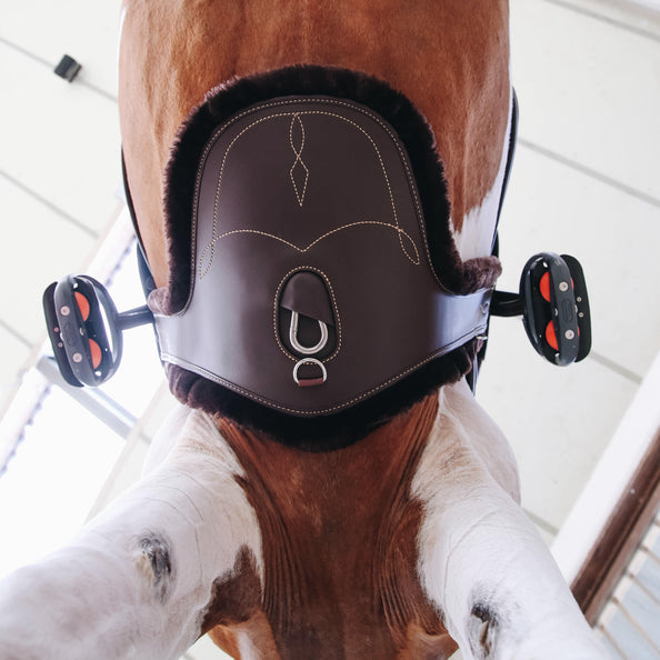 product shot image of the Sheepskin Stud Girth - Brown