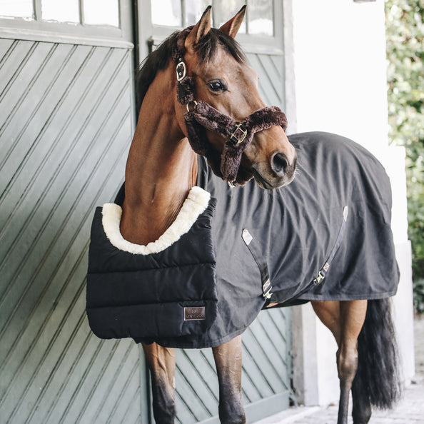 product shot image of the Horse Bib Winter - Black