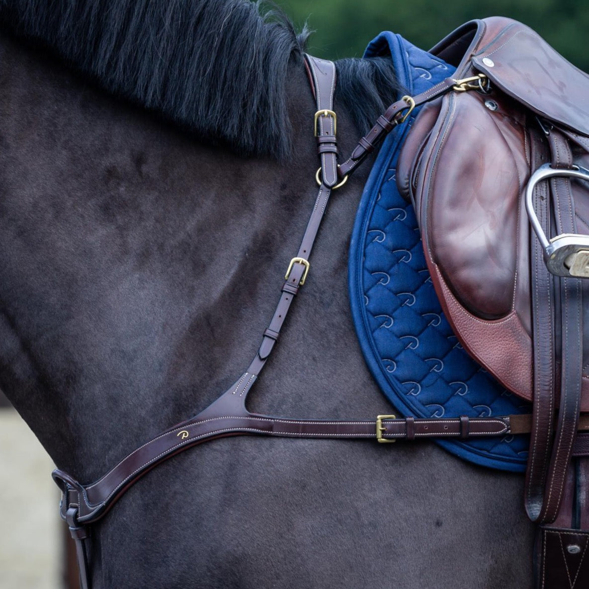 product shot image of the dy'on d collection anatomical breastplate