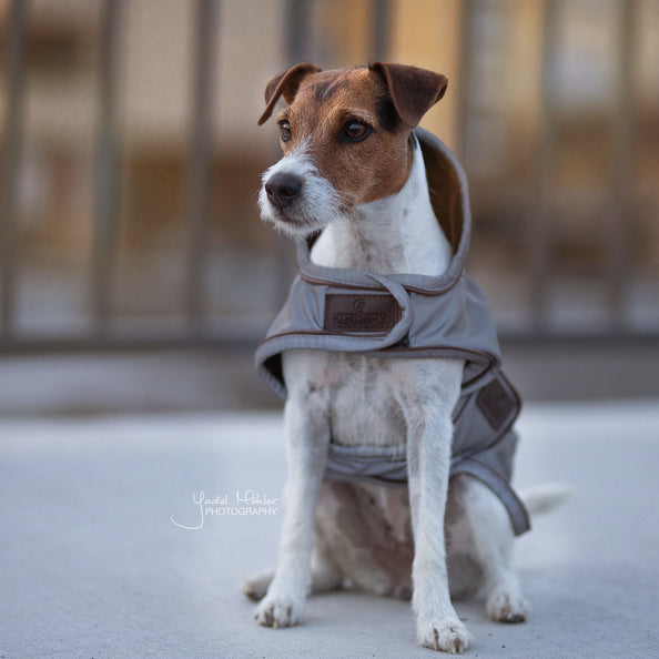 product shot image of the Dog Coat Reflective & Water Repellent