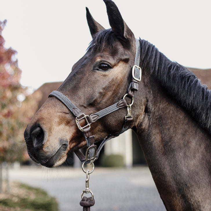 product shot image of the Plaited Nylon Headcollar - Grey