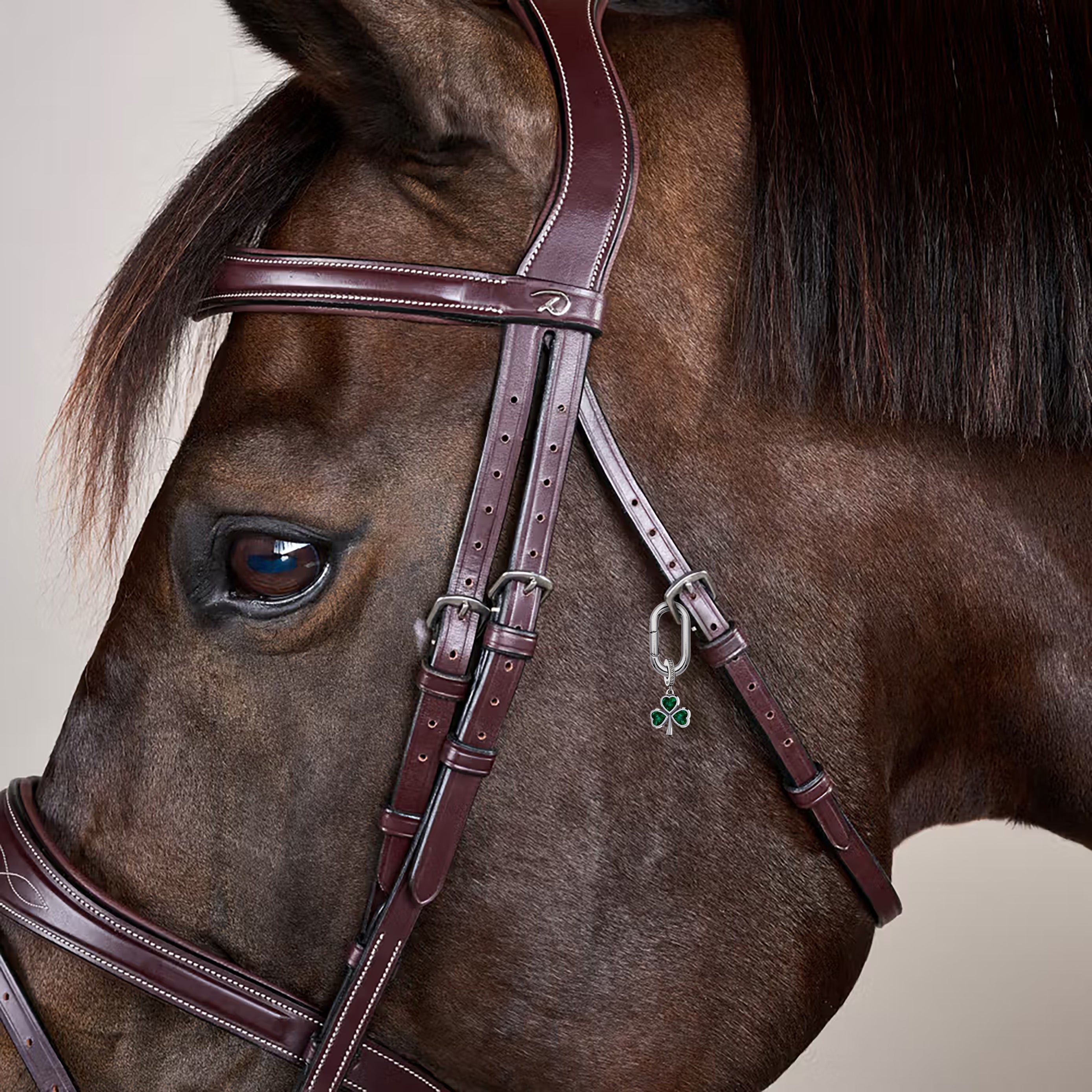 New Bridle Charms