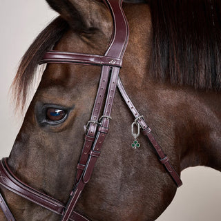 New Bridle Charms