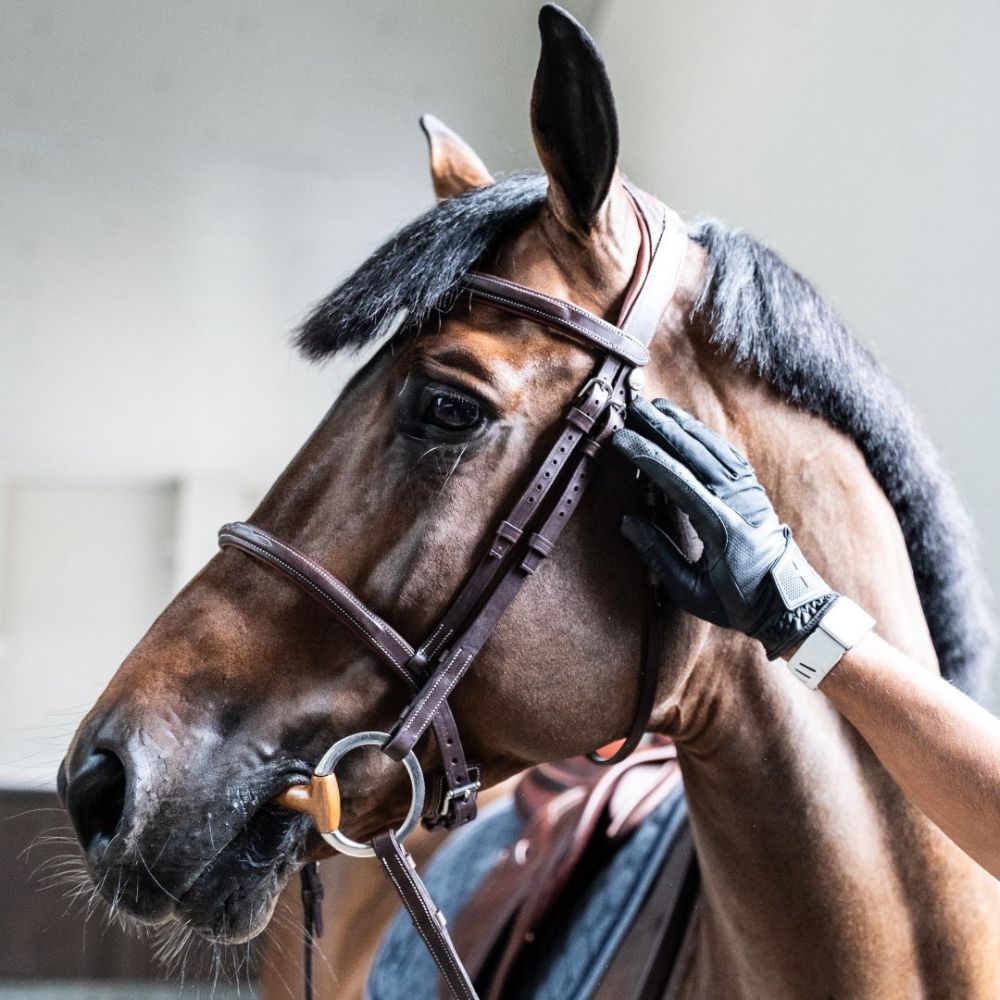DEVOUCOUX CHIBERTA BRIDLE