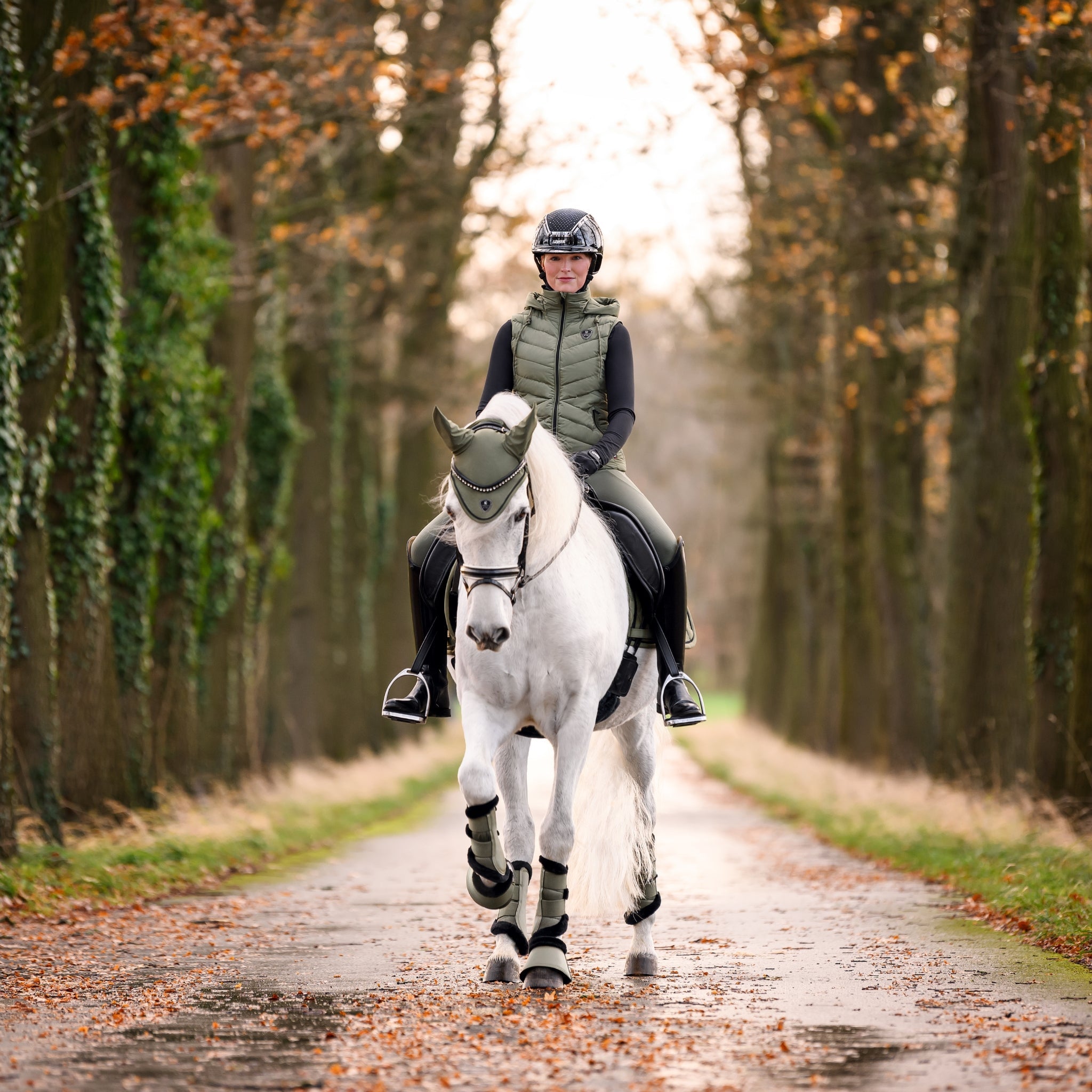 New Cavallo F|W 2025