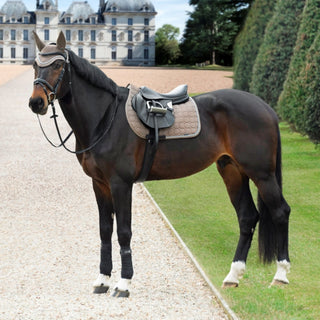 Equiline Custom