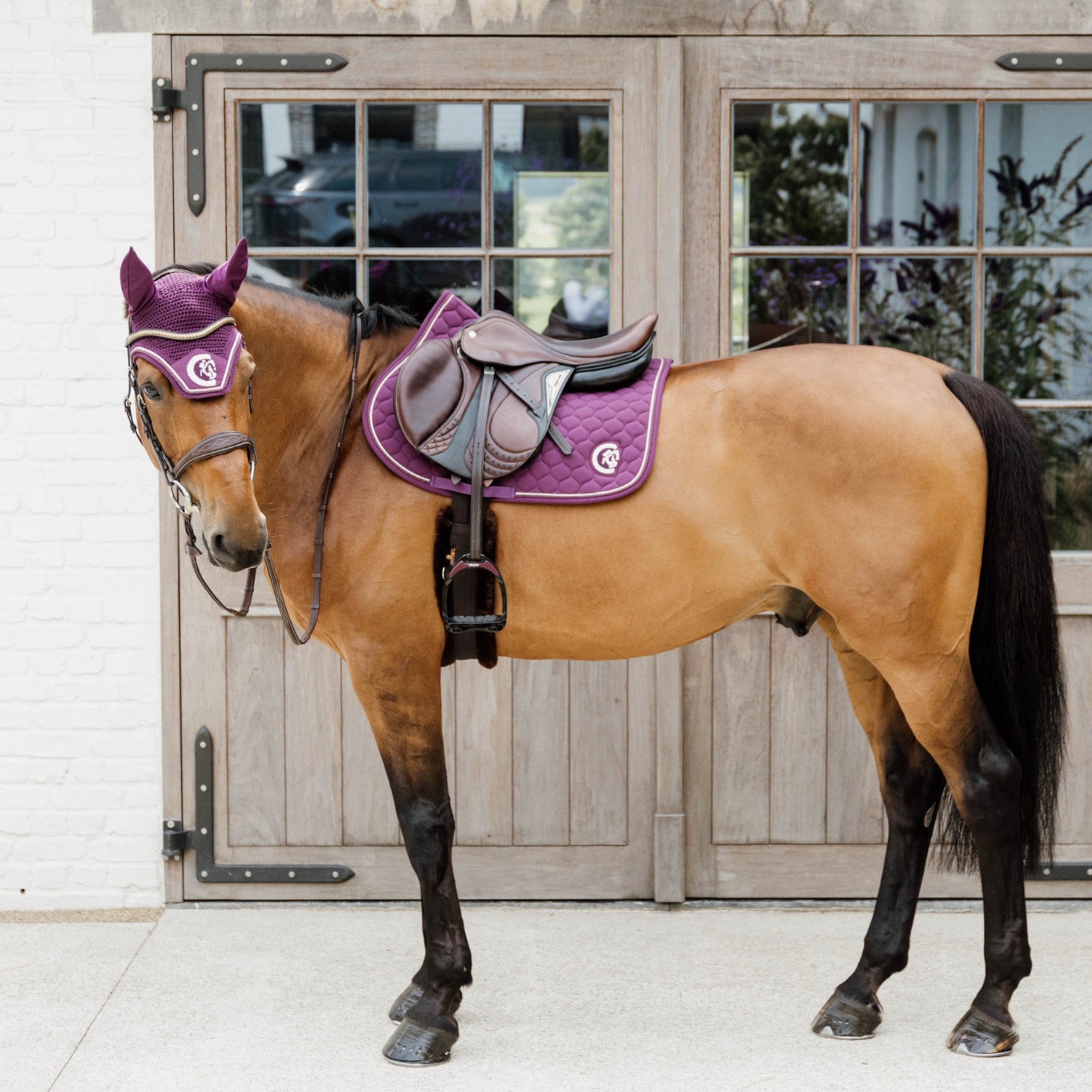 Kentucky 3D Logo Collection