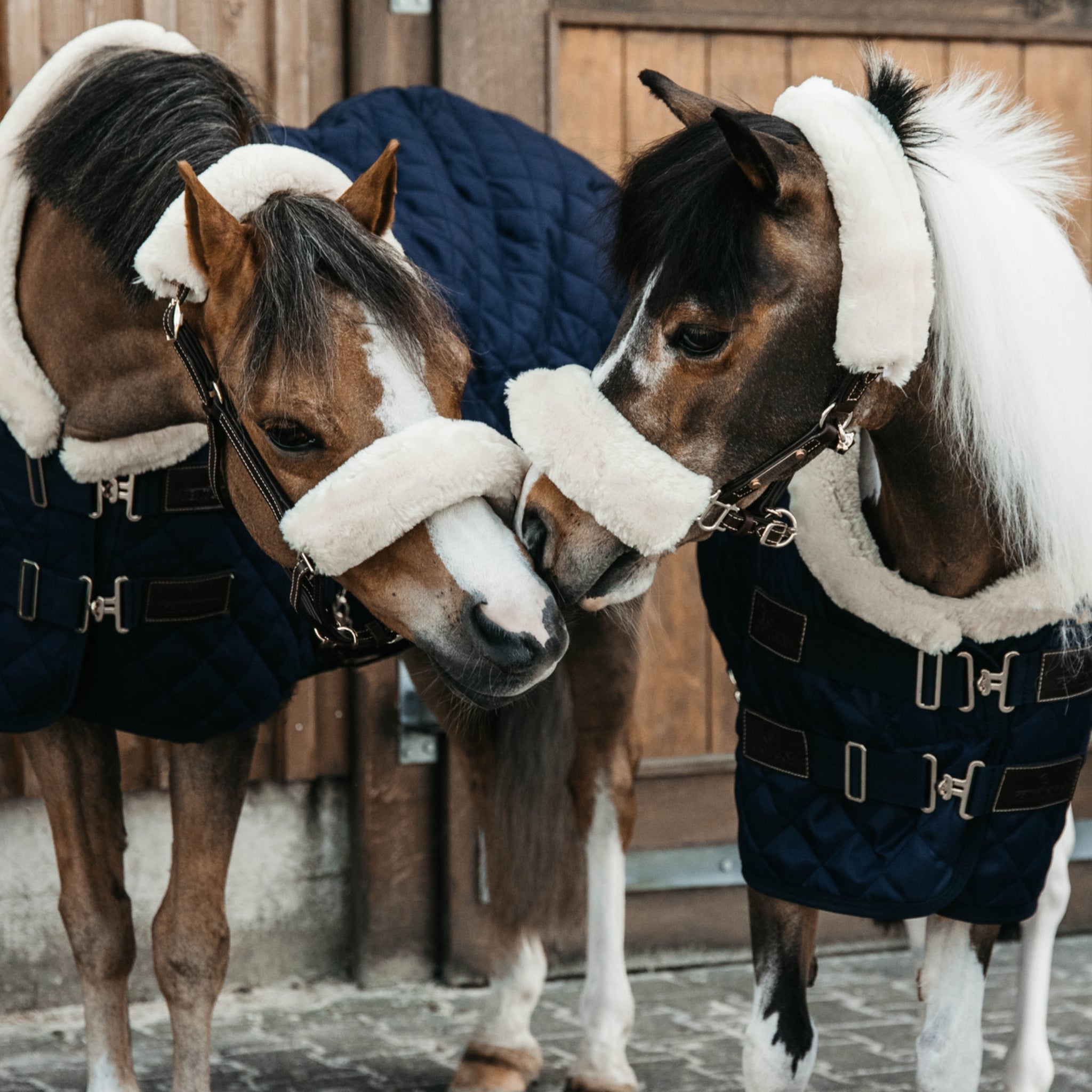 Kentucky Pony Collection