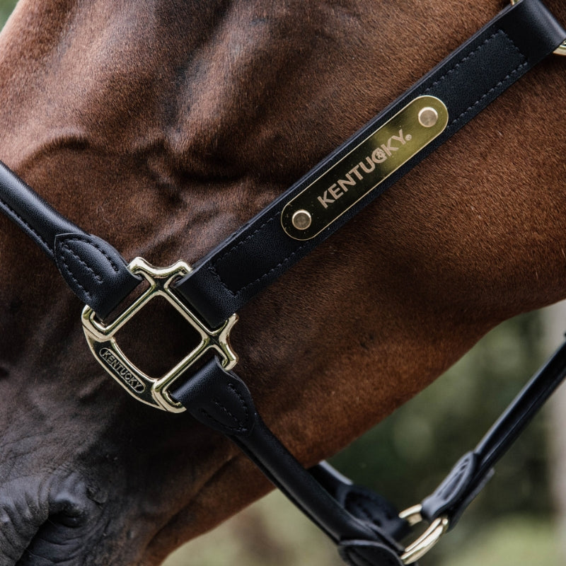 Anatomic Leather Headcollar | Black