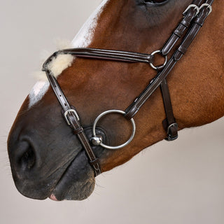 Working Collection Fig 8 Noseband Bridle