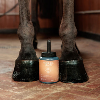 Hoof Oil Shine | Black