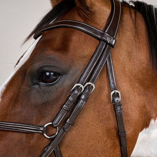 Working Collection Fig 8 Noseband Bridle