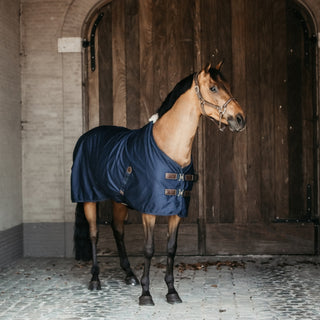 Cotton Rug | Navy