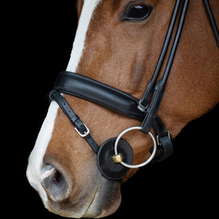 Countoured Gel Bit Guard