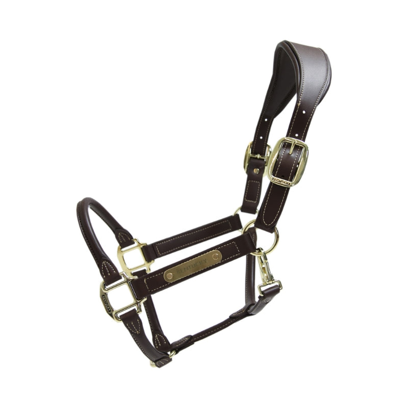 Anatomic Leather Headcollar | Brown