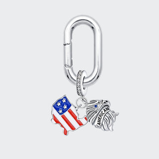 No.41 USA