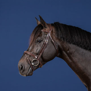 Hunter Flash Noseband Bridle