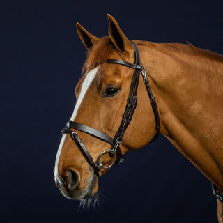 Working Collection Flat Leather Bridle with Snap Hooks