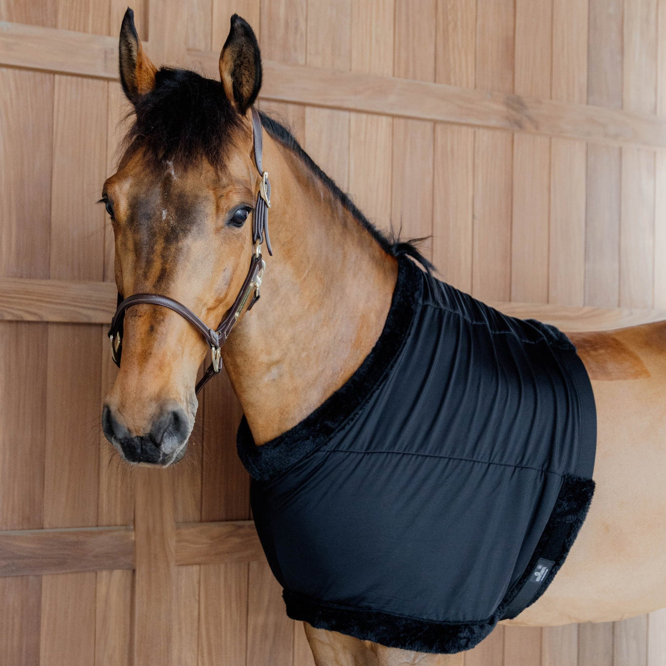 Chest Protection | Black