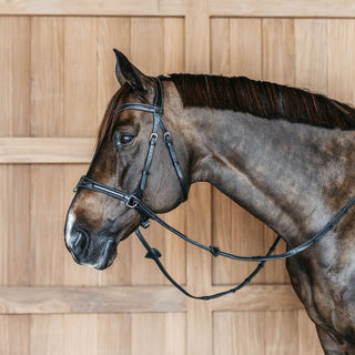 Working Collection Motion Bridle