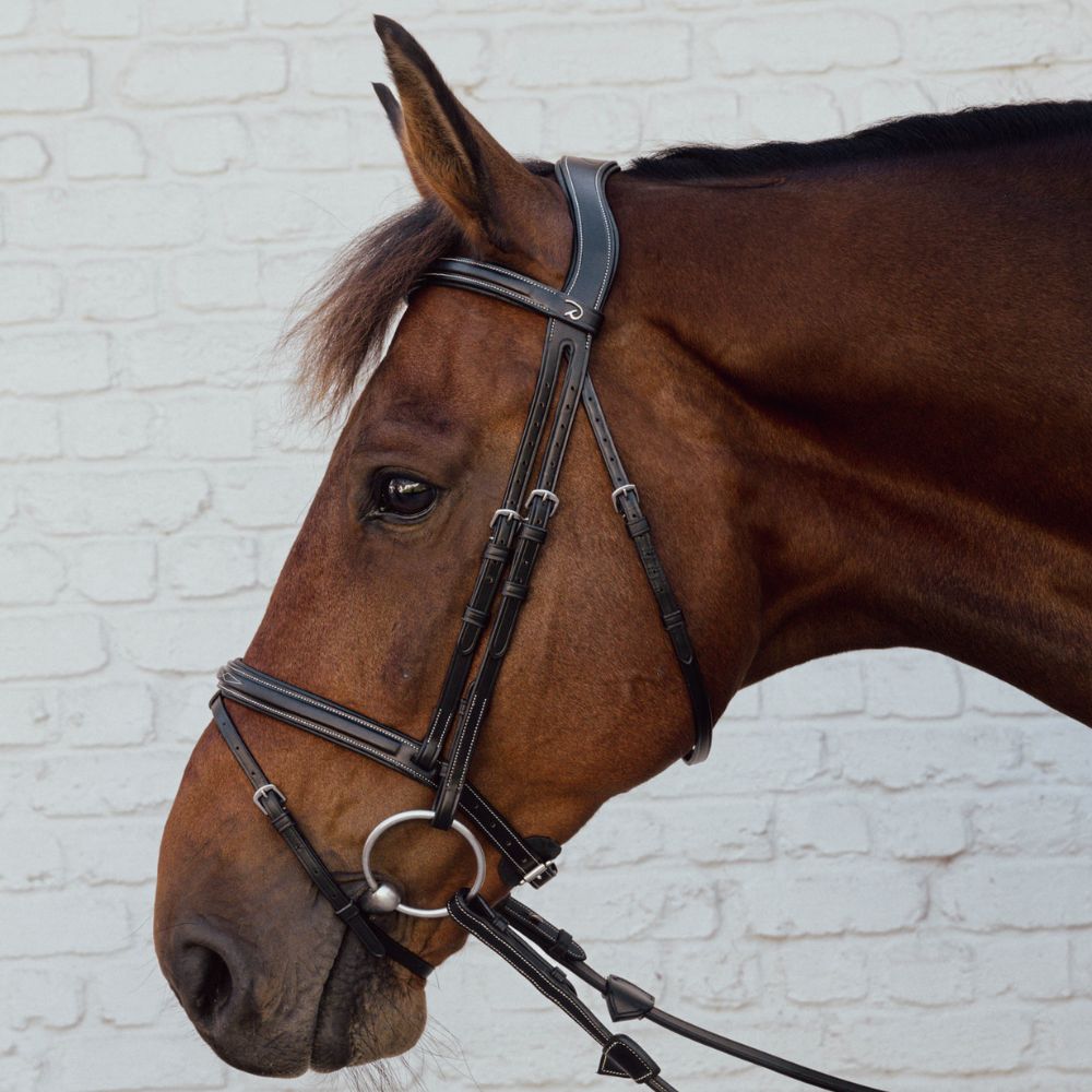 Hunter Flash Noseband Bridle