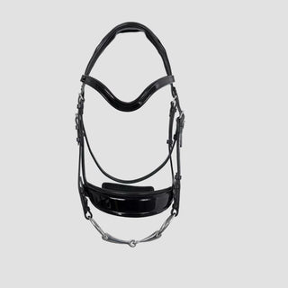 Glossy Makila Bridle