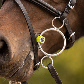 Flexi Soft Port Three Ring Bit