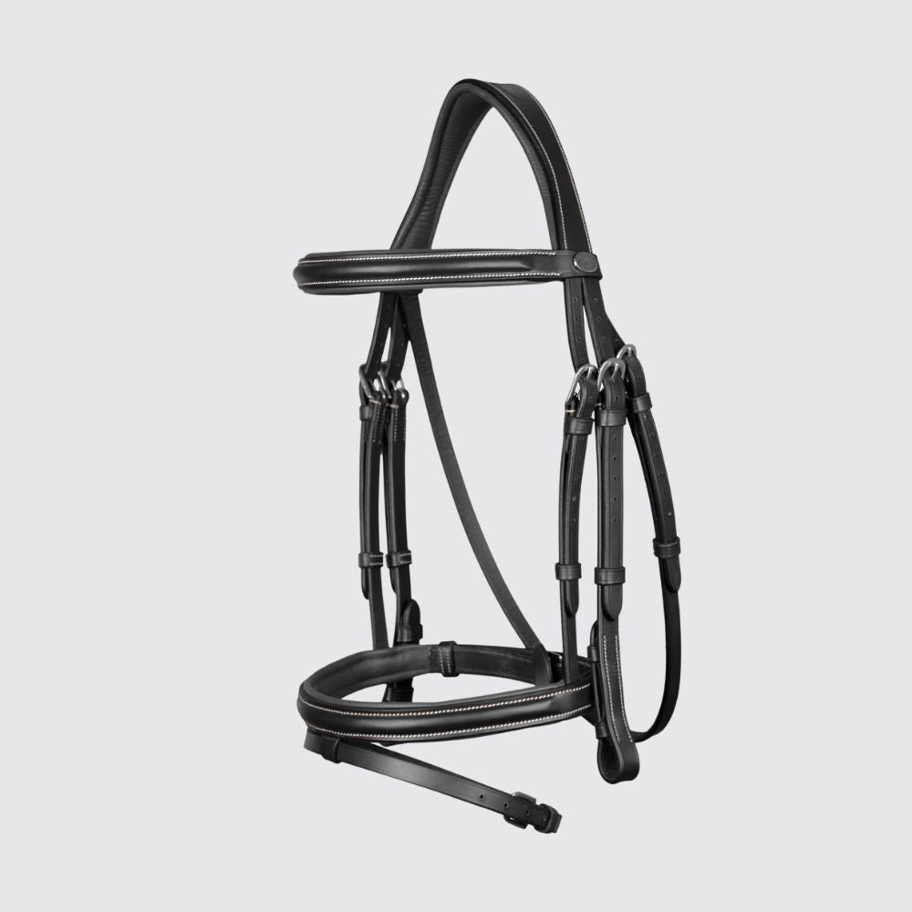 Working Collection Flash Noseband Bridle