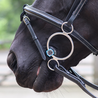 Flexible Mullen Three Ring Bit