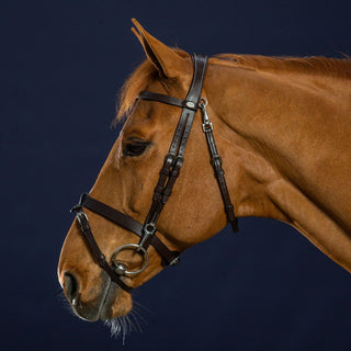 Working Collection Flat Leather Bridle with Snap Hooks