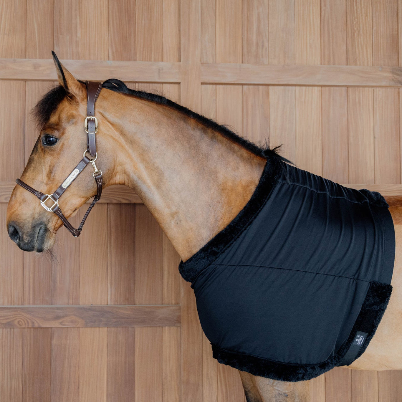 Chest Protection | Black