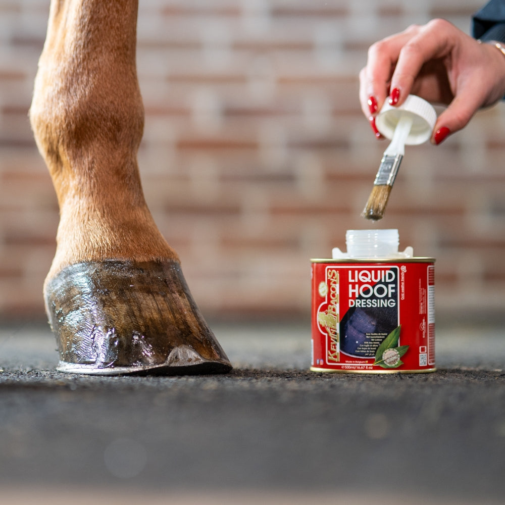 Liquid Hoof Dressing | 1L