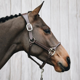 Anatomic Leather Headcollar | Brown