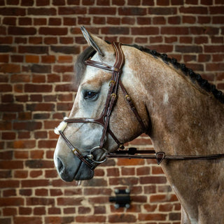 D Collection Figure 8 Noseband Bridle