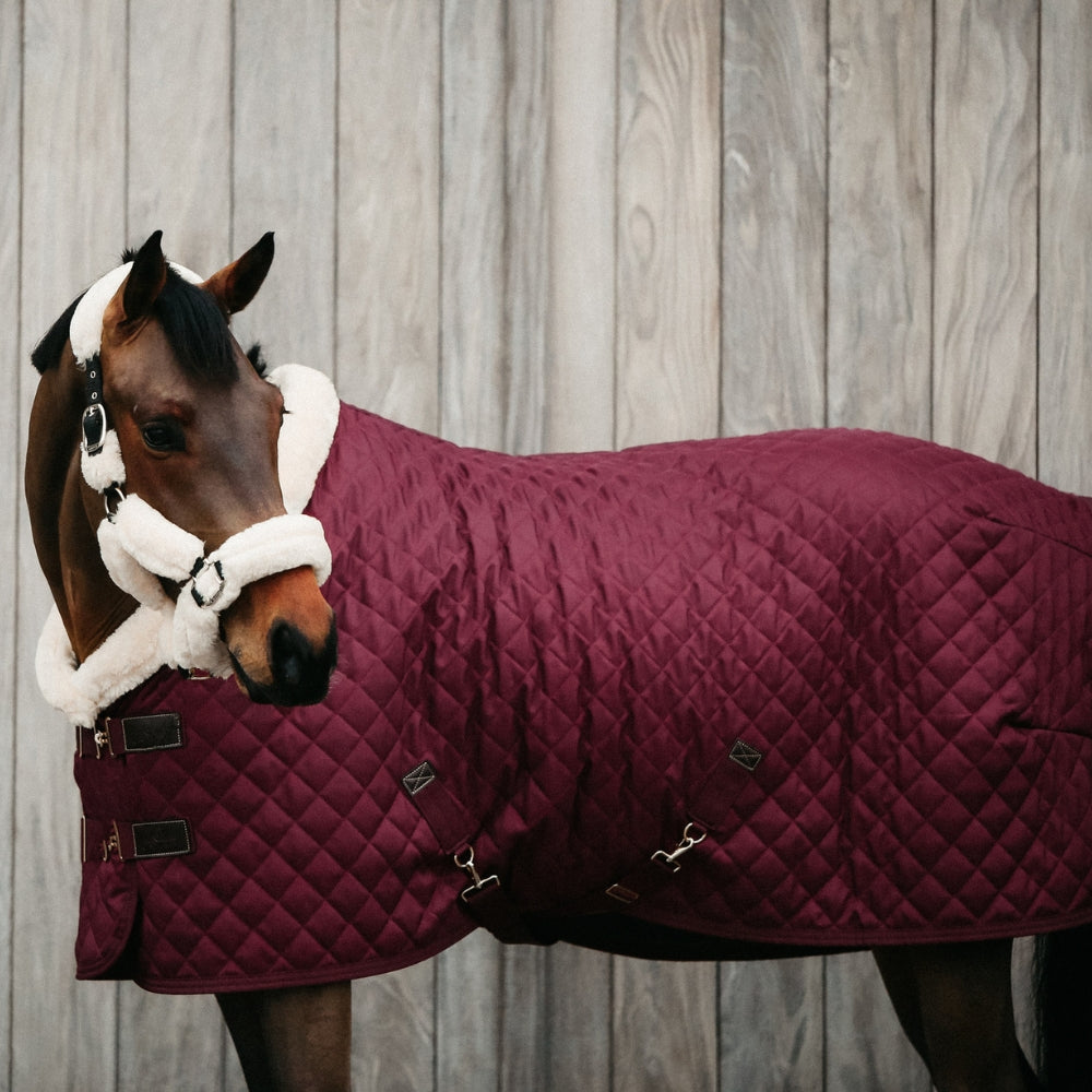 Show Rug | Burgundy